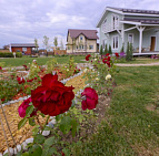 Галерея проектов: Участок на Open Villadge 2017 Фото с выставки Open Village 2017 Южный