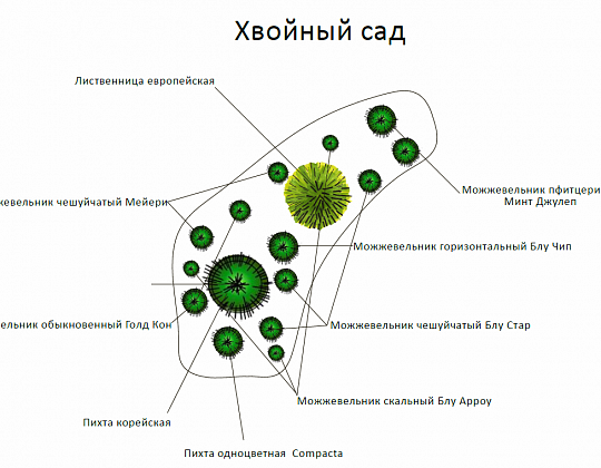 Дмитрий Миронов – проект коттеджного участка – садовый центр «Южный» Хвойный сад