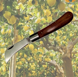 Нож прививочный НС-2 (нерж.) средний