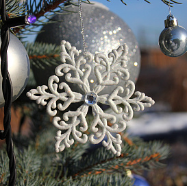 Новогодняя Ель колючая 'Супер Блю Сидлинг' - украшение