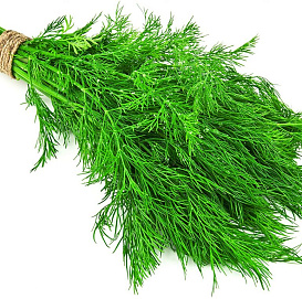 Семена Укроп