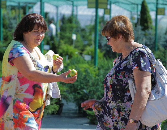 Яблочно-медовый спас (август 2015) - садовый центр Южный
 Яблочно-медовый спас (август 2015)