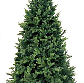 Искусственная ель ЦАРСКАЯ (литая хвоя 100% РЕ)