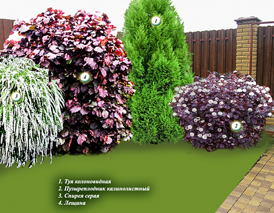 Елена Буренина – проект «Разноцветный уютный мир» – садовый центр «Южный» Угловой миксбордер