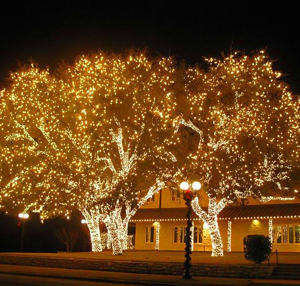 Комплект электрогирлянд на деревья 100м с 900 теплыми белыми LED лампами, 24V, уличный, цвет белый 