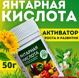 Стимулятор Янтарная кислота ЗРИ В КОРЕНЬ 50г