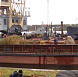 Фотоальбом Посадка крупномеров на берегу Клязьминского водохранилища с баржи. Ива желтокорая. Фотография 9