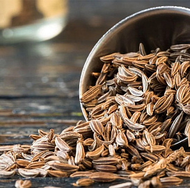 Семена Тмин