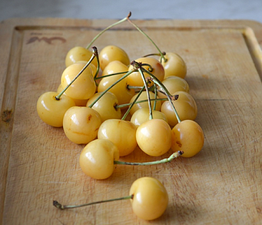 Черешня 'Золотая'