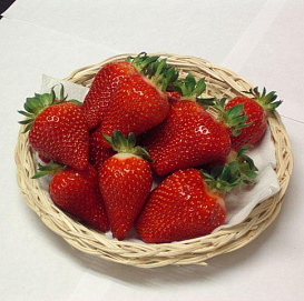 Земляника (клубника) 'Азия'