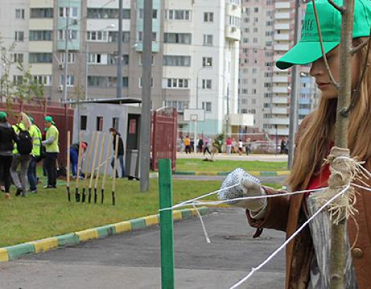 Фотоальбом Наш лес. Посади дерево 2015 9
