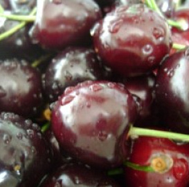 Черешня 'Оленька'