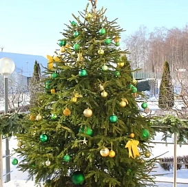 Украшение ели, 2-3 метра высотой