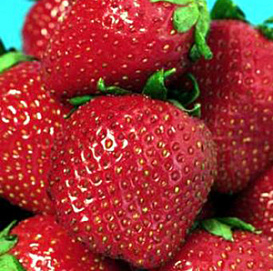 Земляника (клубника) 'Боровицкая'