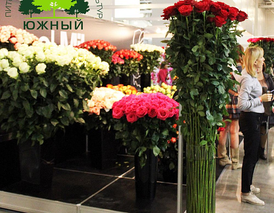 Выставка ЦветыЭкспо/FlowersExpo - садовый центр Южный
 ЦветыЭкспо/FlowersExpo 2015