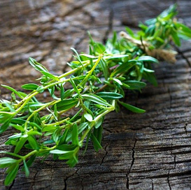 Семена Чабер