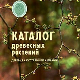 Брошюра