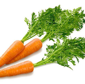 Семена Морковь Нантская 4