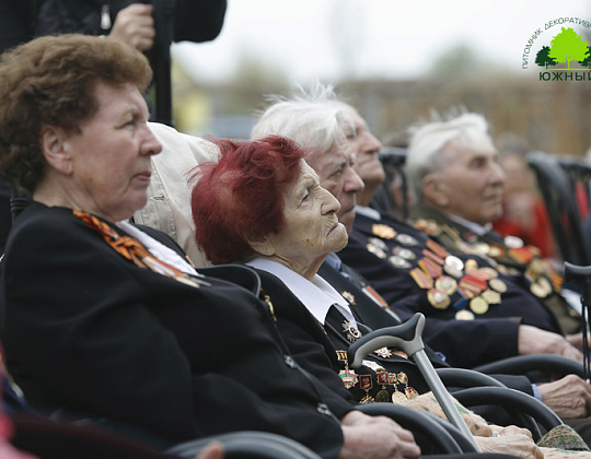 Фотоальбом Сирень ПОБЕДЫ 2015 Сирень ПОБЕДЫ 2015