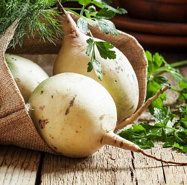 Семена Репа