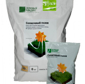 Газон Зеленый квадрат Солнечный Зеленый ковер