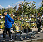 Фотоальбом Праздник Бабье лето 10 сентября 2016 Праздник сентября Бабье лето