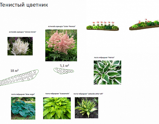 Дмитрий Миронов – проект коттеджного участка – садовый центр «Южный» Тенистый цветник