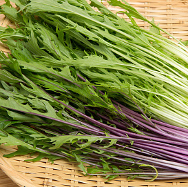 Семена Капуста японская