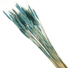 Цветок СУХОЦВЕТЫ КОЛОСЬЯ 60см голубой 4-6312 (424230)