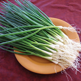 Семена Лук на зелень Белое перо 0,5г Гавриш