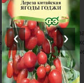Семена годжи