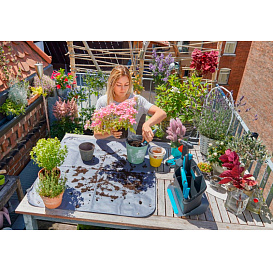 Ковер для посадки растений