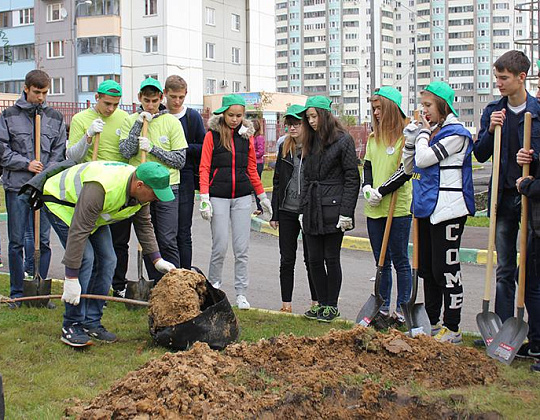 Фотоальбом Наш лес. Посади дерево 2015 6