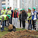 Фотоальбом Наш лес. Посади дерево 2015 6