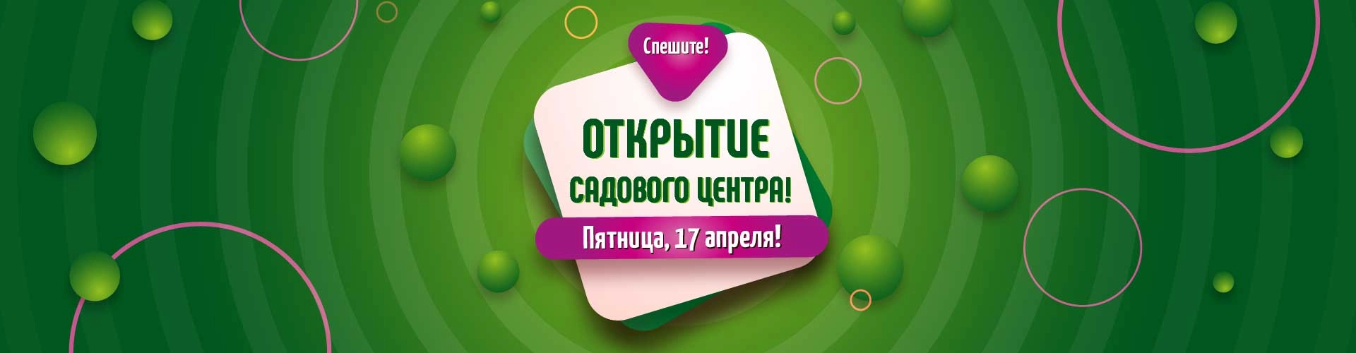 Акция садового центра декоративных растений Южный