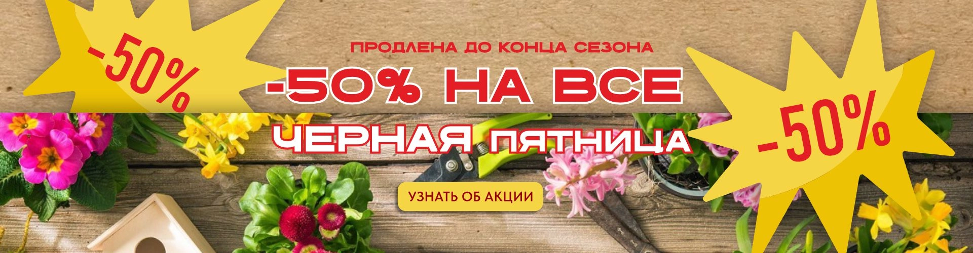 Акция садового центра декоративных растений Южный