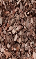 Кора сосны крупная/Спектр/