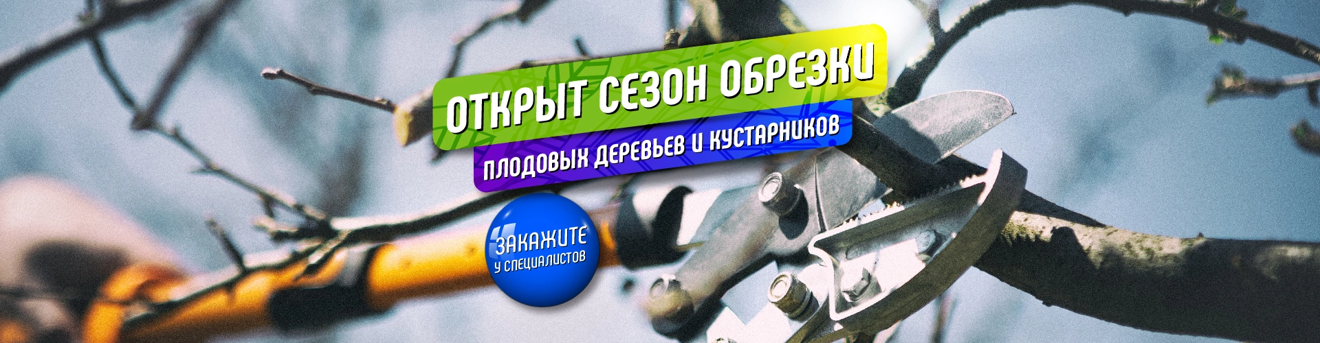 Акция садового центра декоративных растений Южный