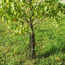 Сетка ограждение ПРОТЭКТ для саженцев от грызунов Н-100см 5м