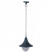 Светильник уличный подвесной ARTE Lamp A1085SO-1BG MALAGA