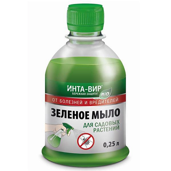 Зеленое мыло, Инта-Вир