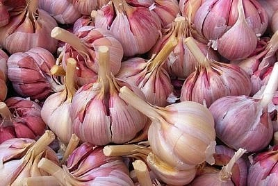 Чеснок озимый Комсомолец 35-55мм 0,5кг