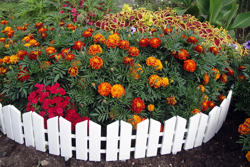 Забор декоративный №3