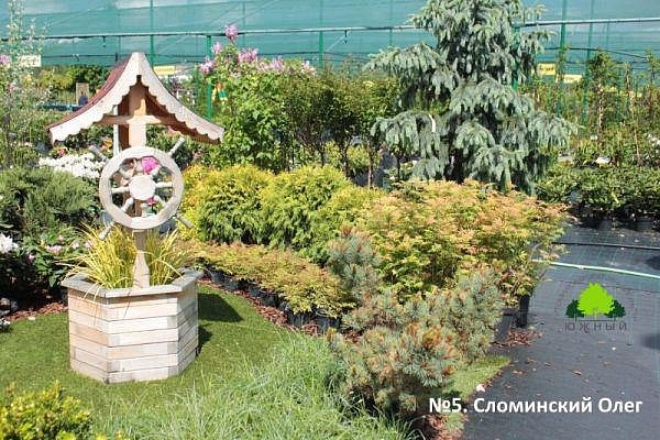 №5. Сломинский Олег