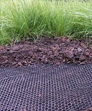 Сетка под газон ПРОТЭКТ для укрепл грунта рулон 1*10 м пластик черная