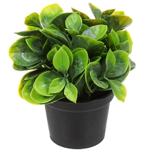 Цветок искусственный СУККУЛЕНТ в кашпо 18*5см 6-10382