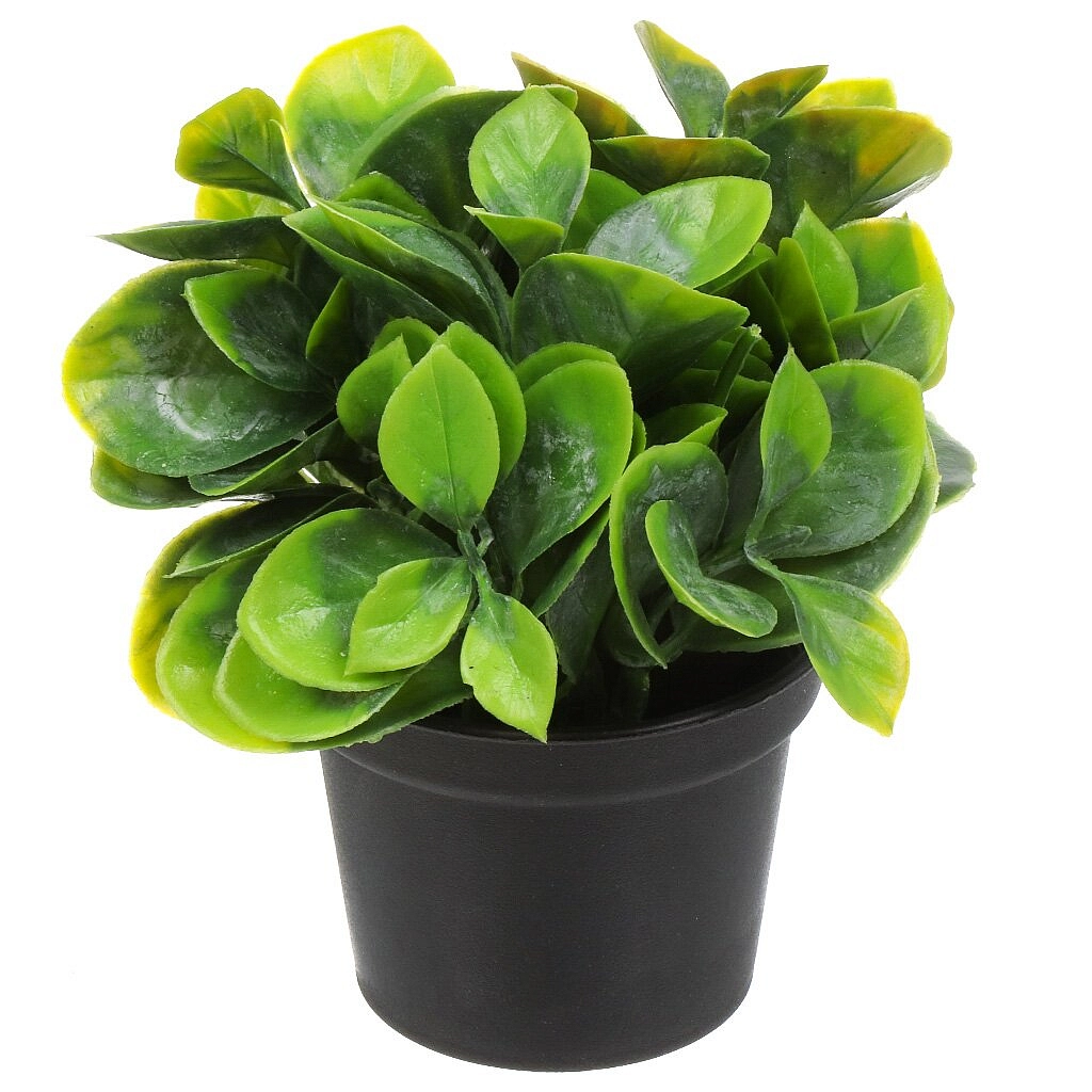 Цветок искусственный СУККУЛЕНТ в кашпо 18*5см 6-10382