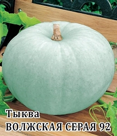 Семена Тыква
