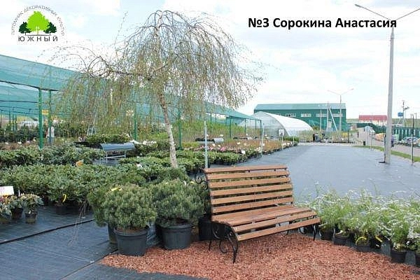 Ландшафтная композиция Сорокиной Анастасии