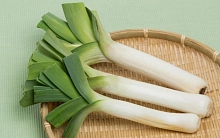 Семена Лук порей